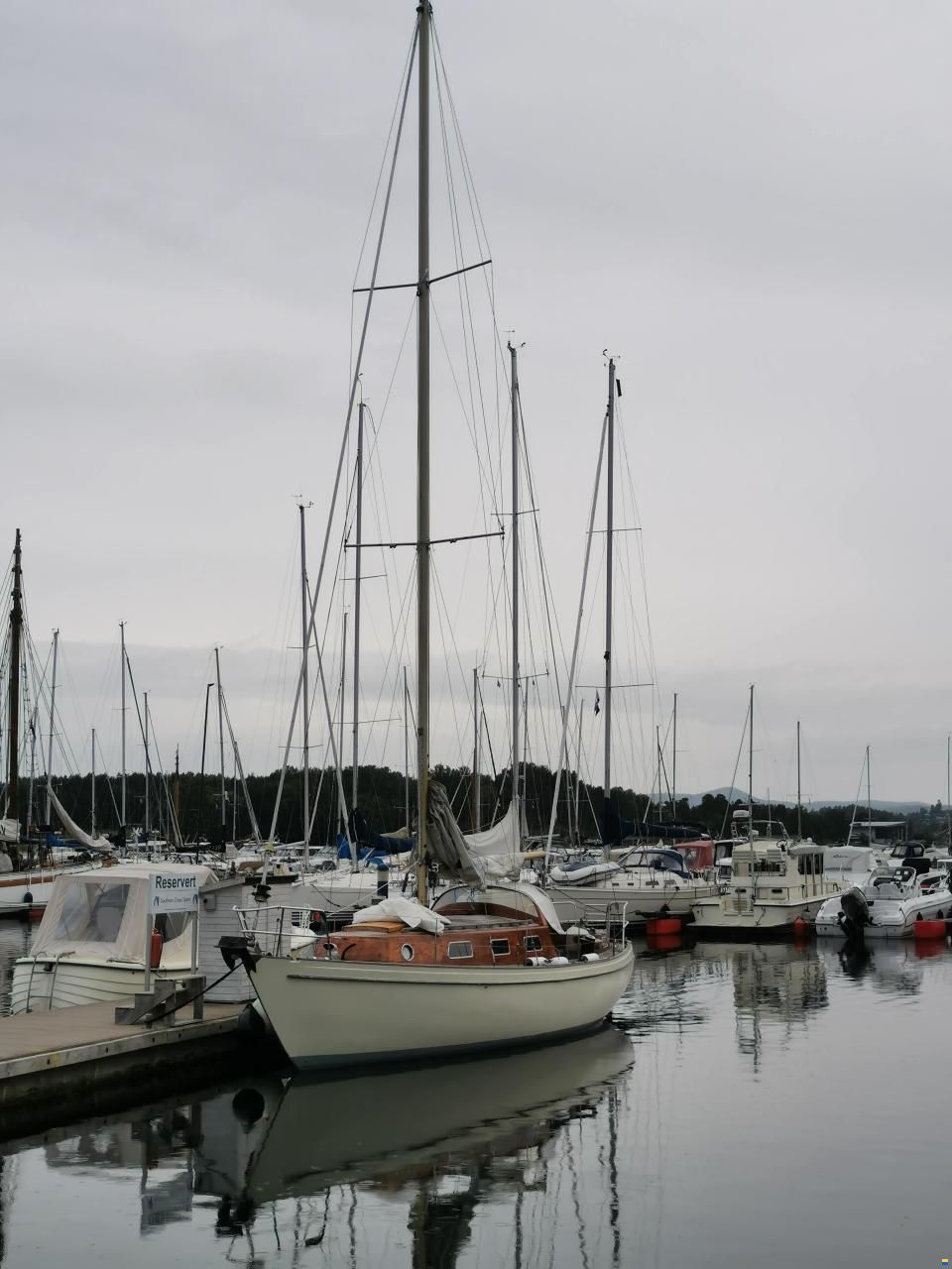 Vind&ouml; 50