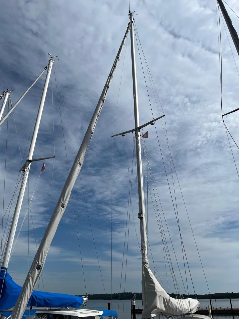 Bianca Commander 31
