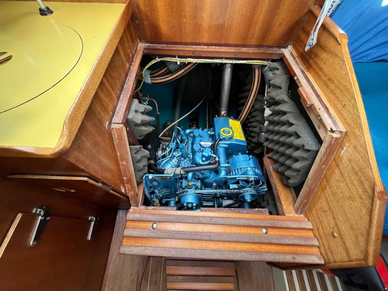 Bianca Commander 31
