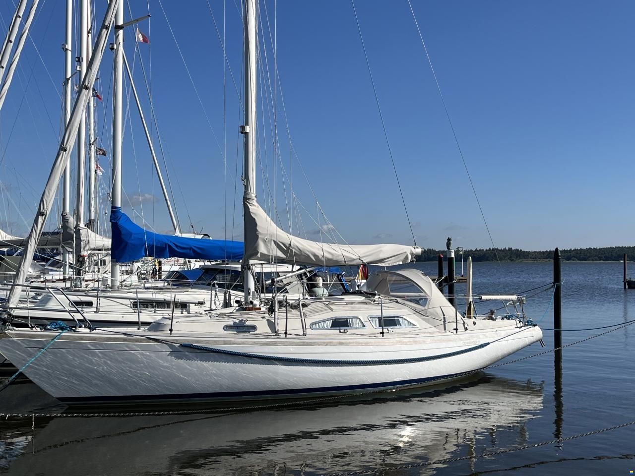 Bianca Commander 31