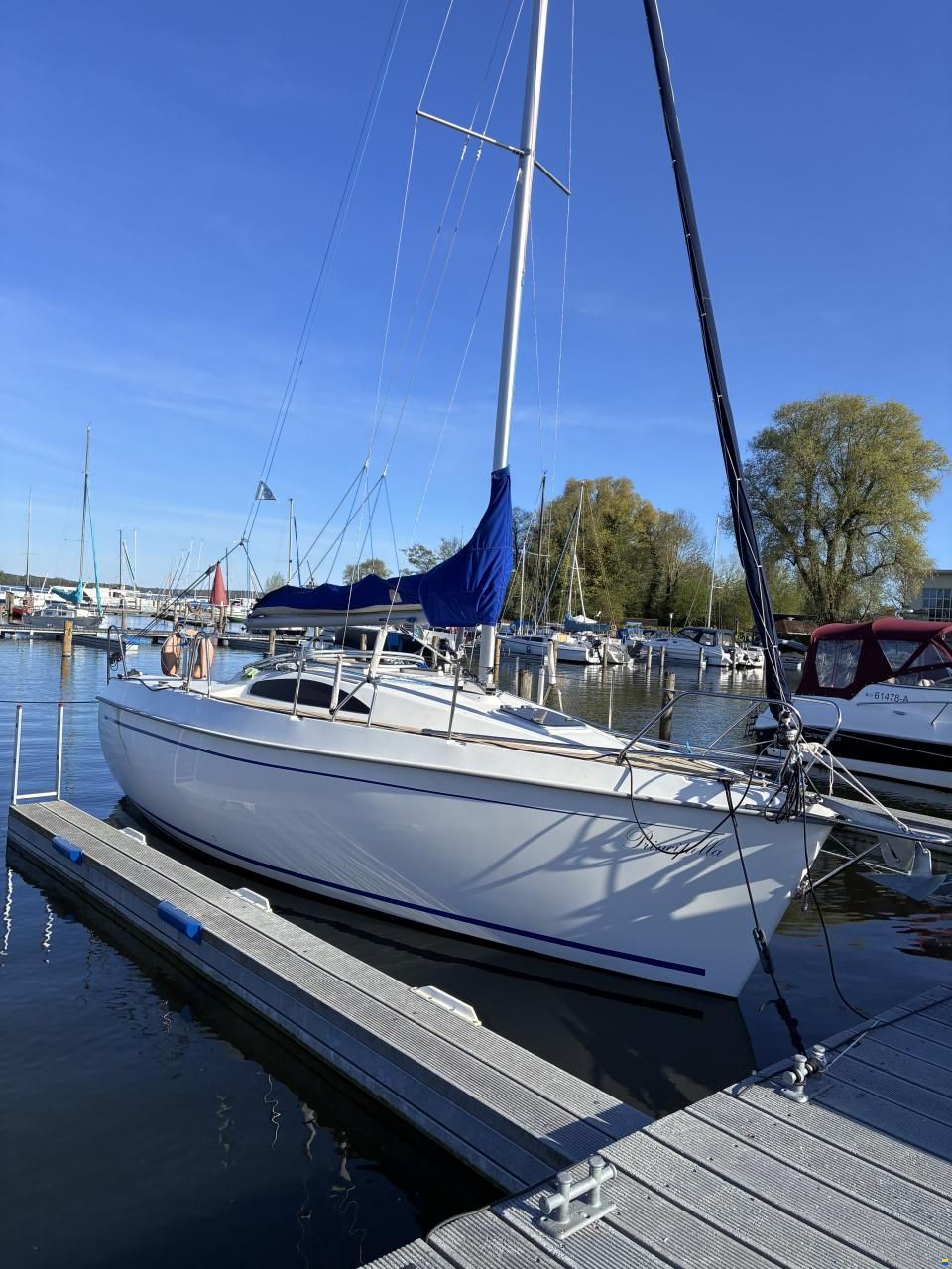 Viko 23