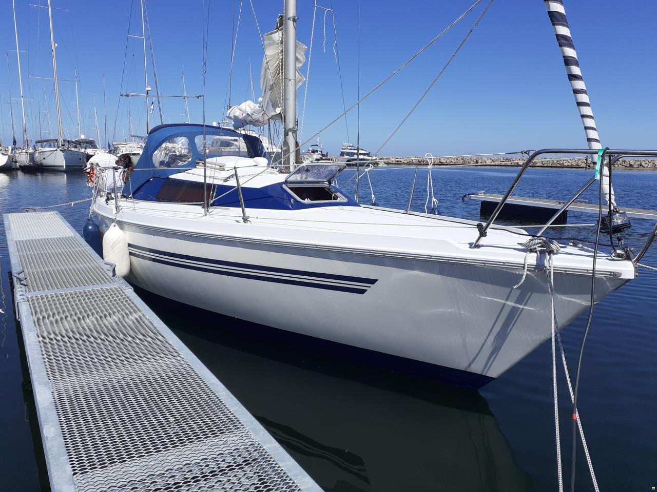 Mallard Start 7
