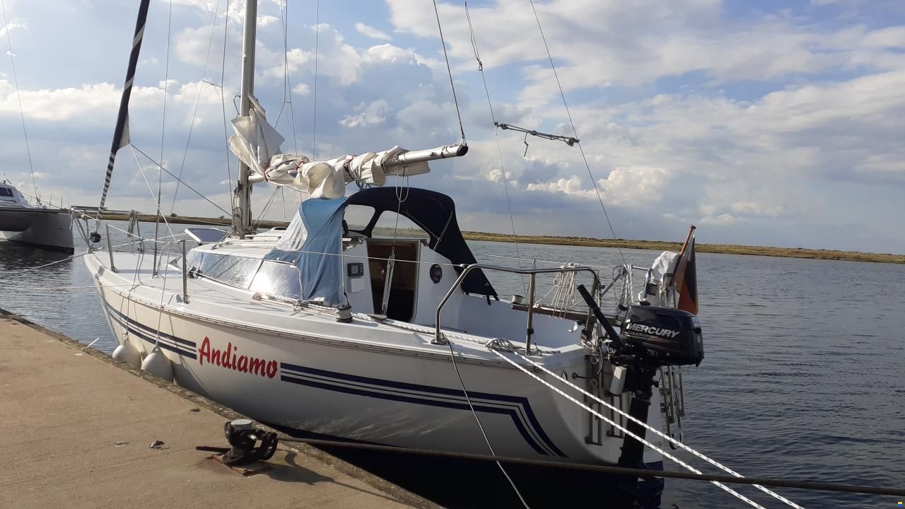 Mallard Start 7