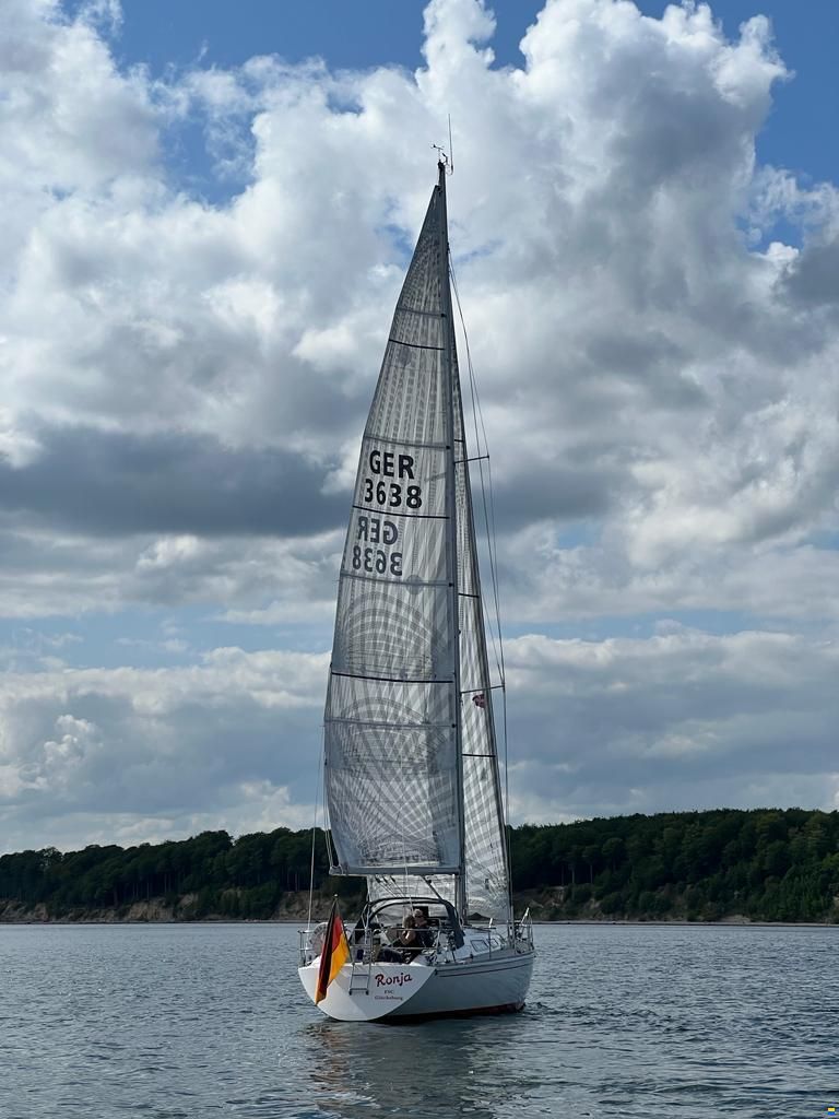 Asmus Hanseat A37