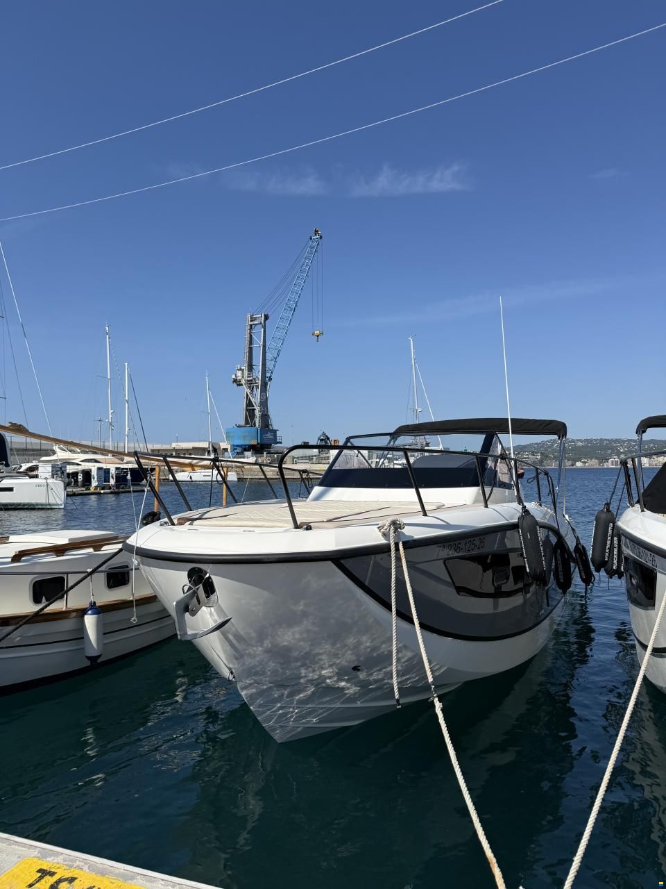 Quicksilver 875
