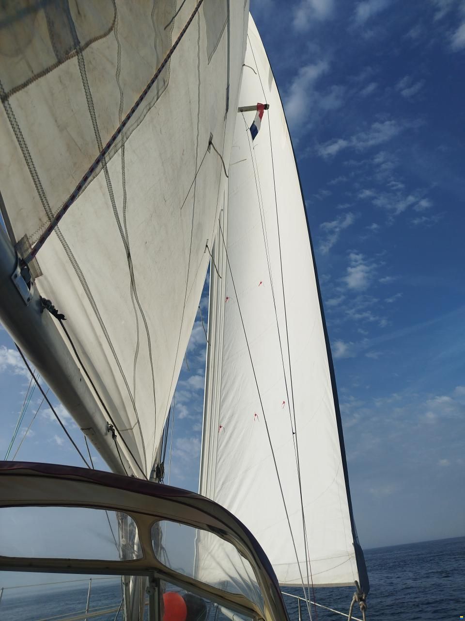 Piewiet 1100