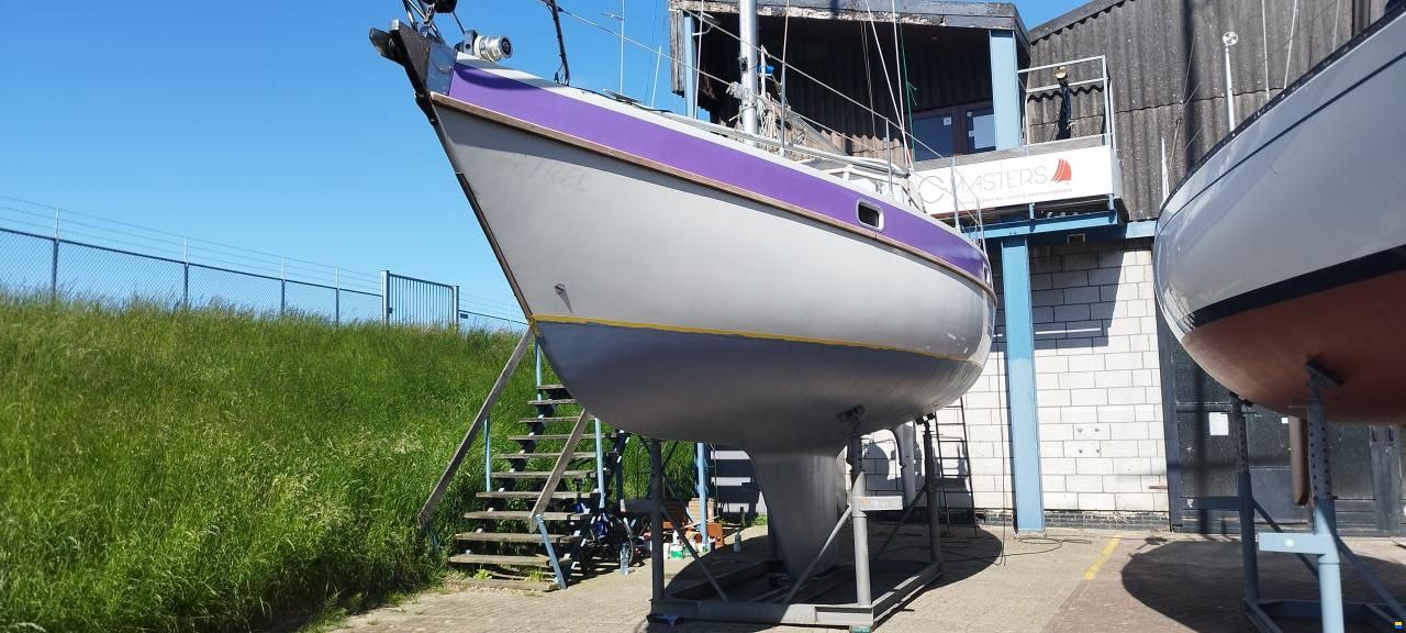 Piewiet 1100