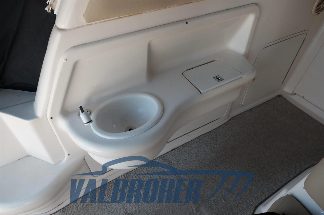 Sea Ray 310 SUNDANCER