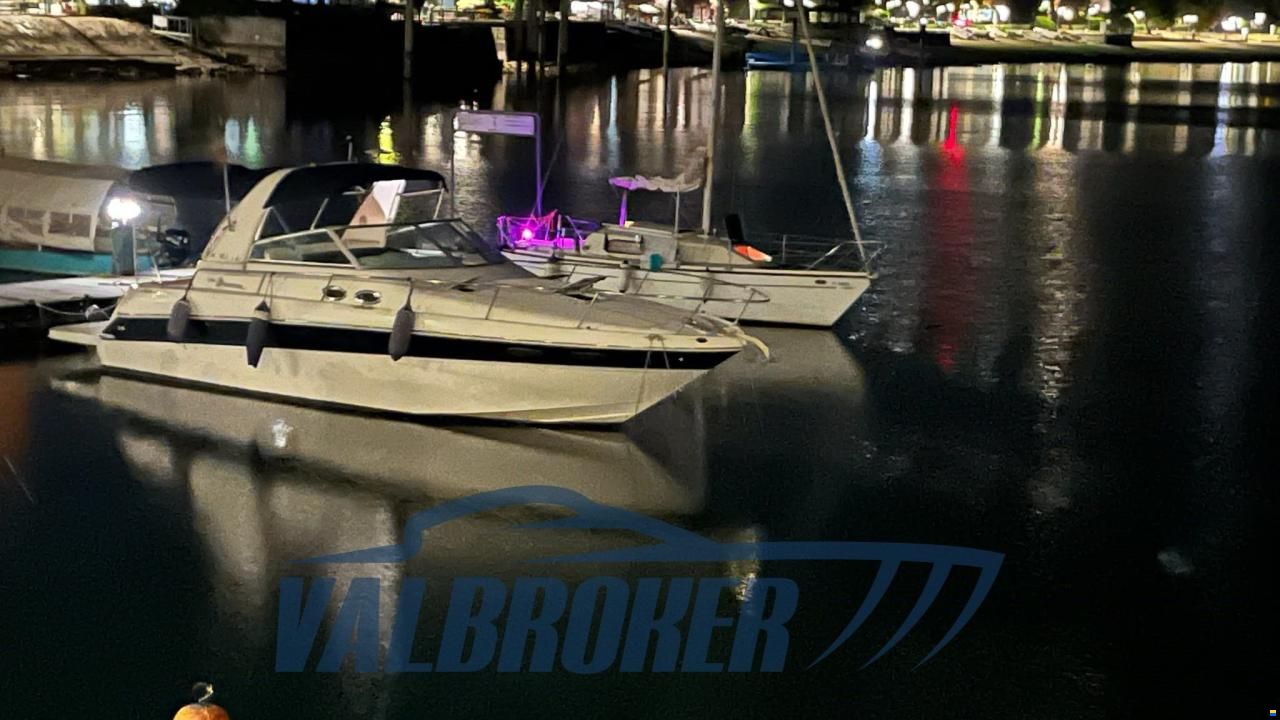 Sea Ray 310 SUNDANCER