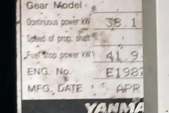Leopard 50