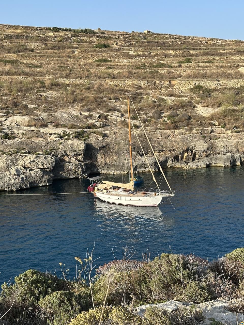 Globe 38
