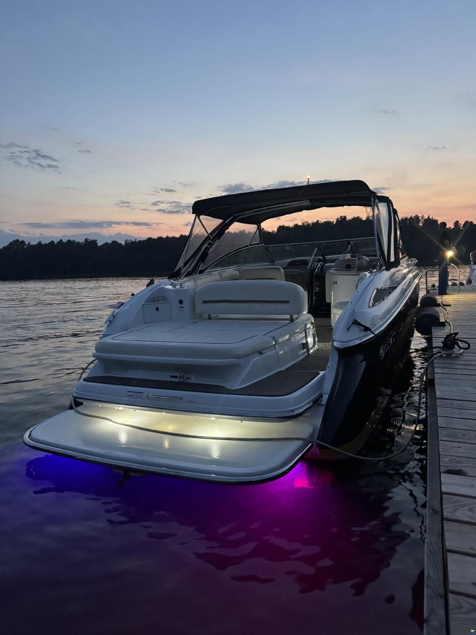 Cobalt 323