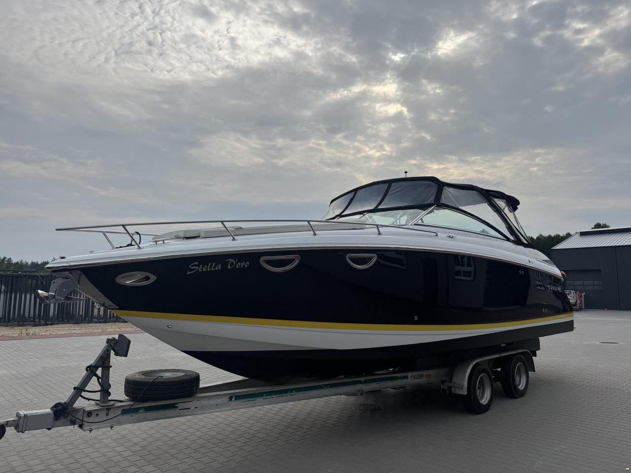 Cobalt 323