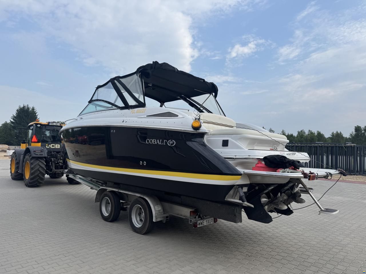 Cobalt 323