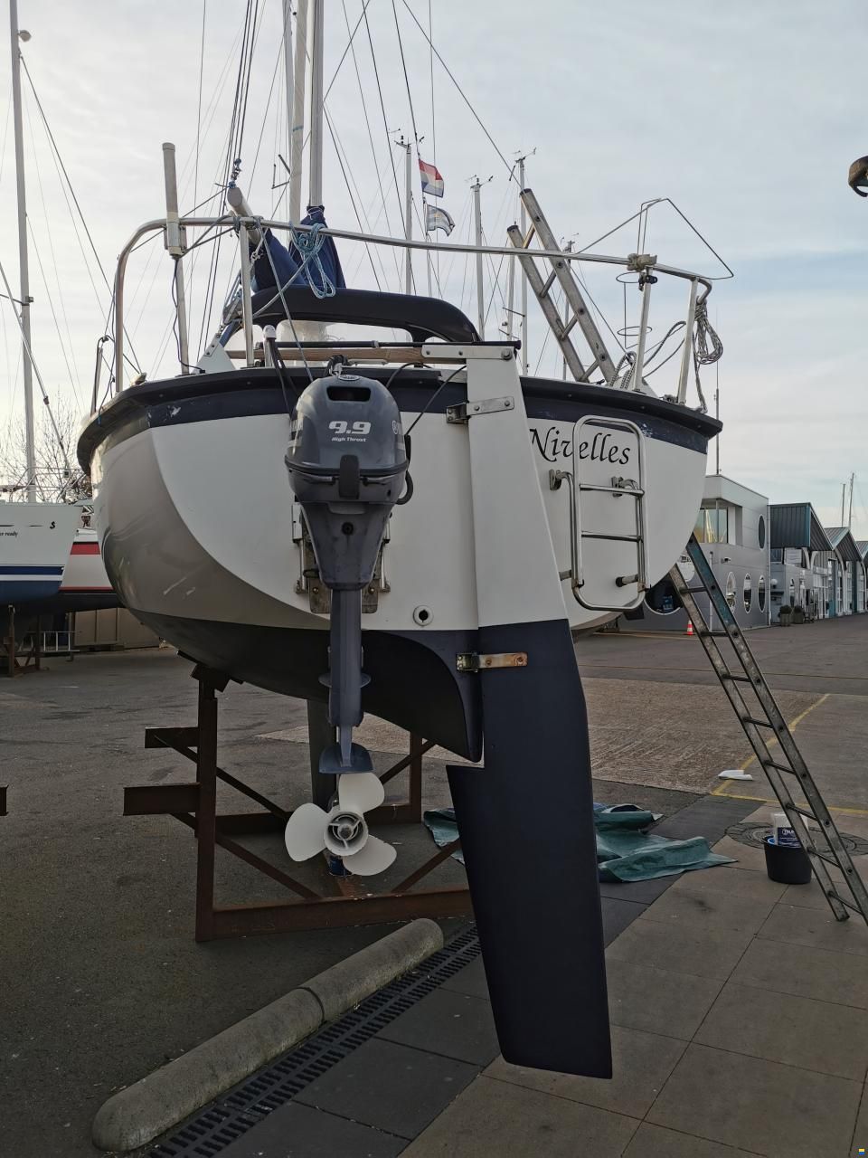 Aloa 25