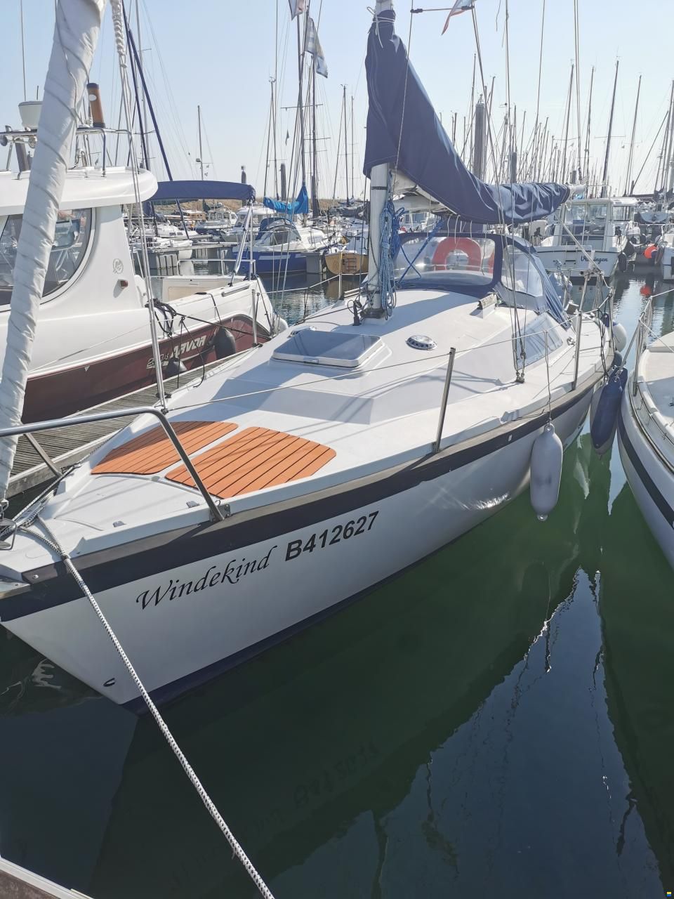 Aloa 25