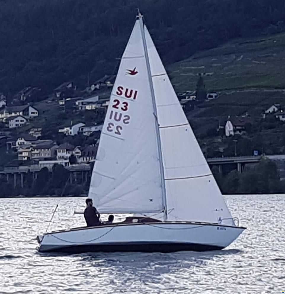 Meier Schwalbe MC 20