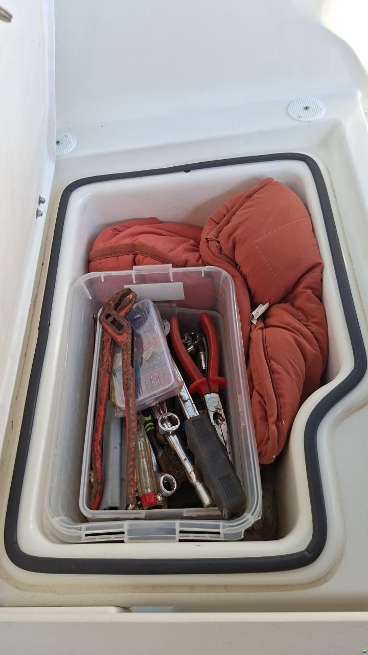 Quicksilver 555 Cabin