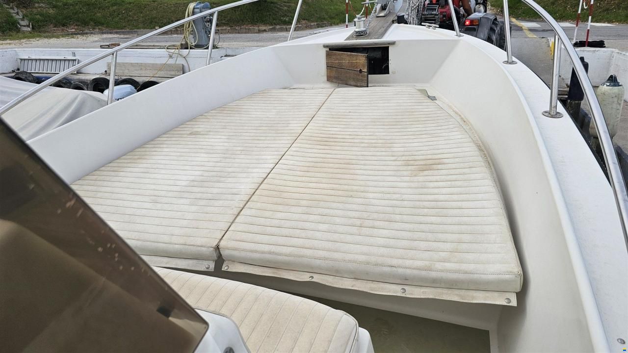 Robalo 25,20