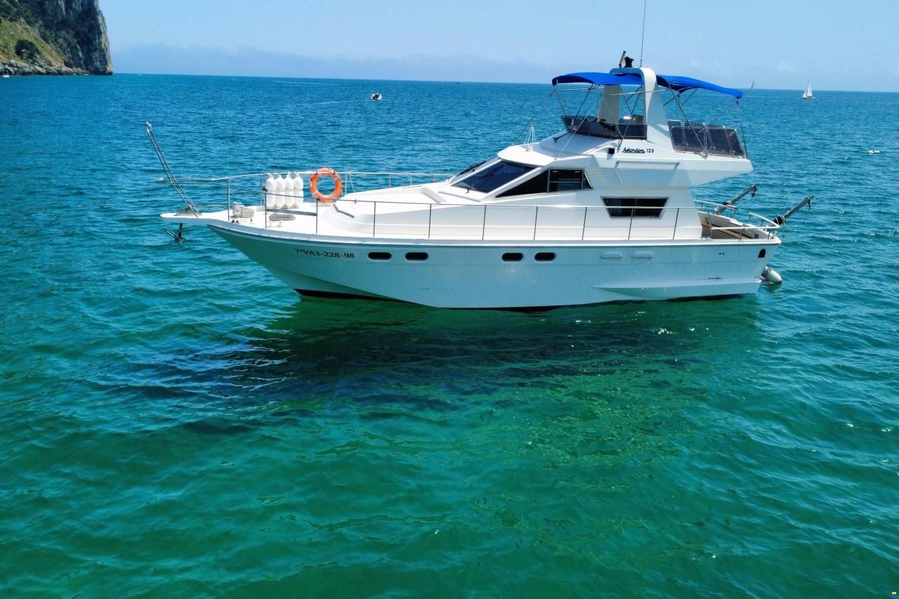 Astondoa 120