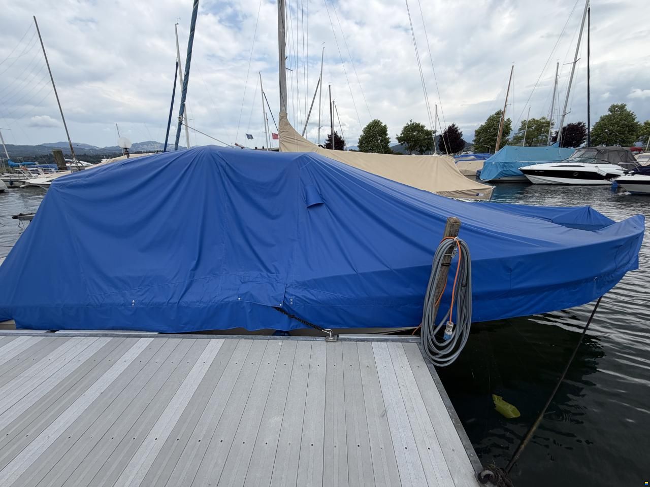 Windy 8000