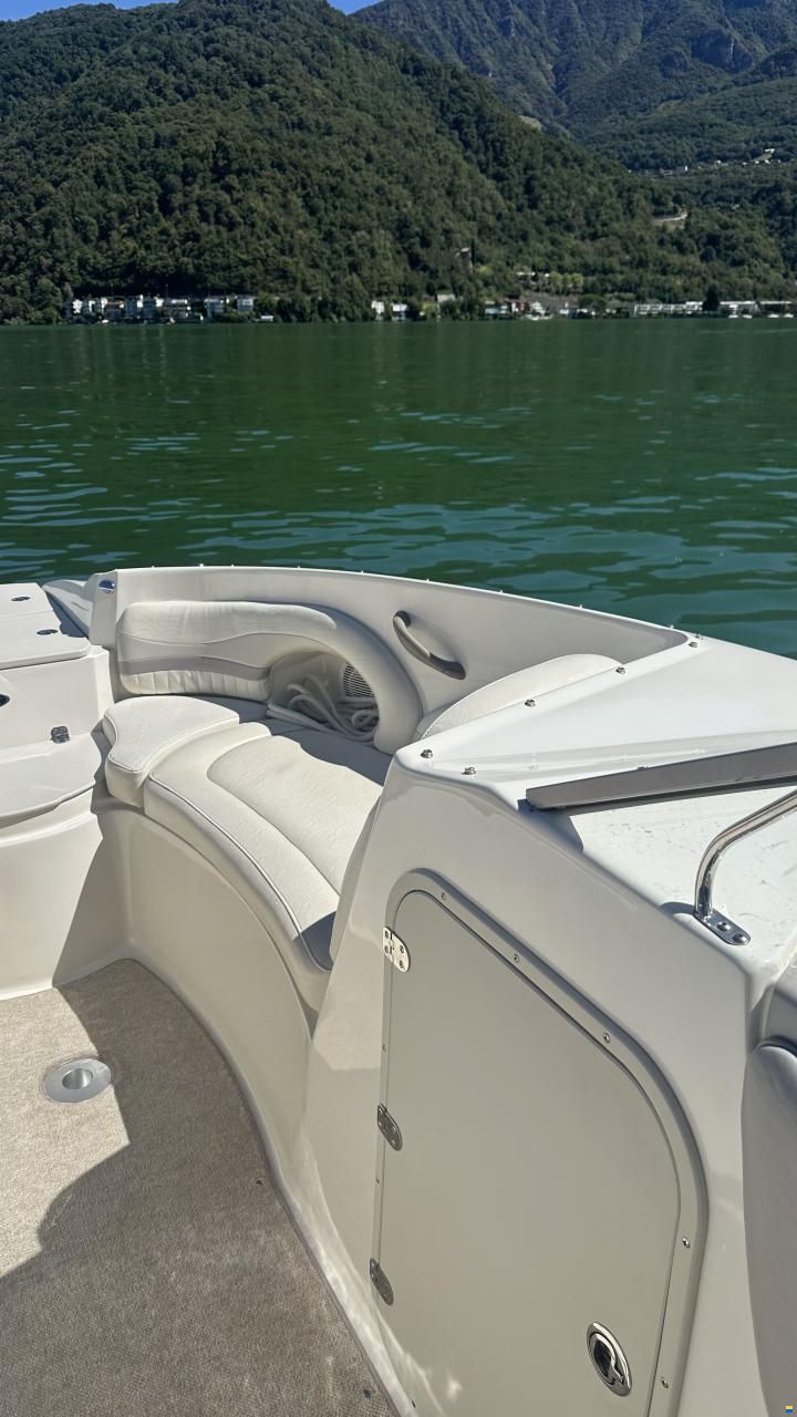 Stingray 235 DR