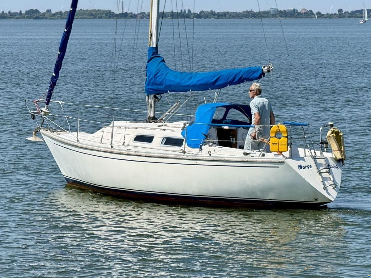 Contessa 28