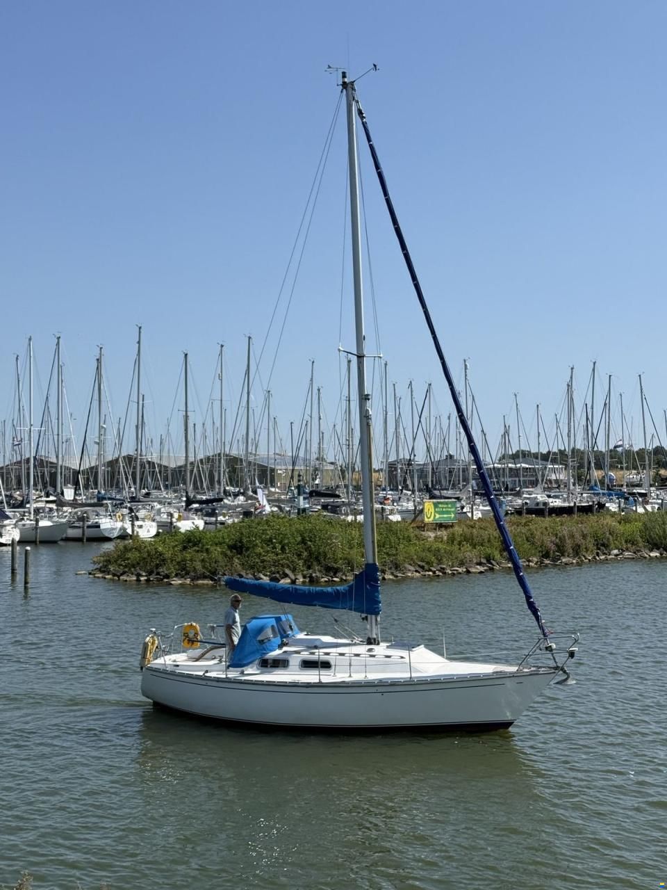 Contessa 28