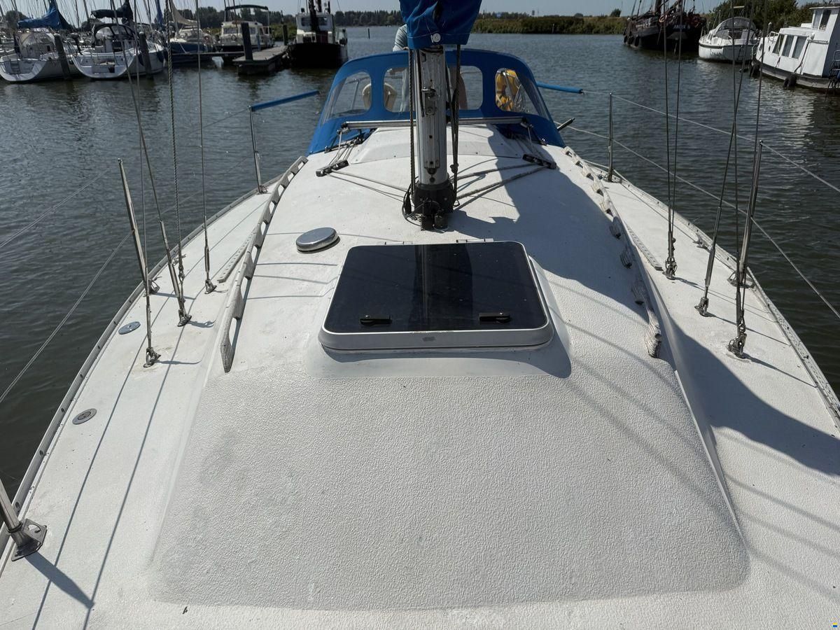 Contessa 28