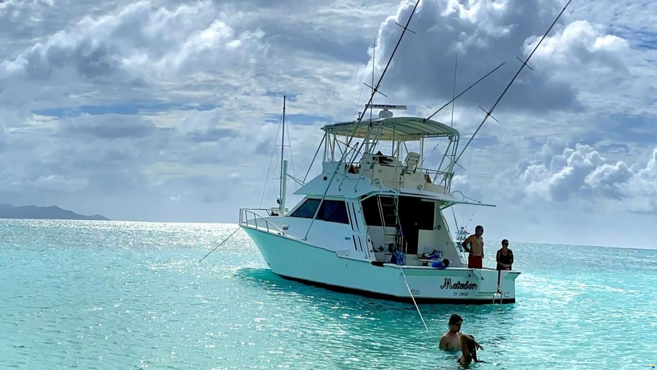 Southern Cross 44 Fish