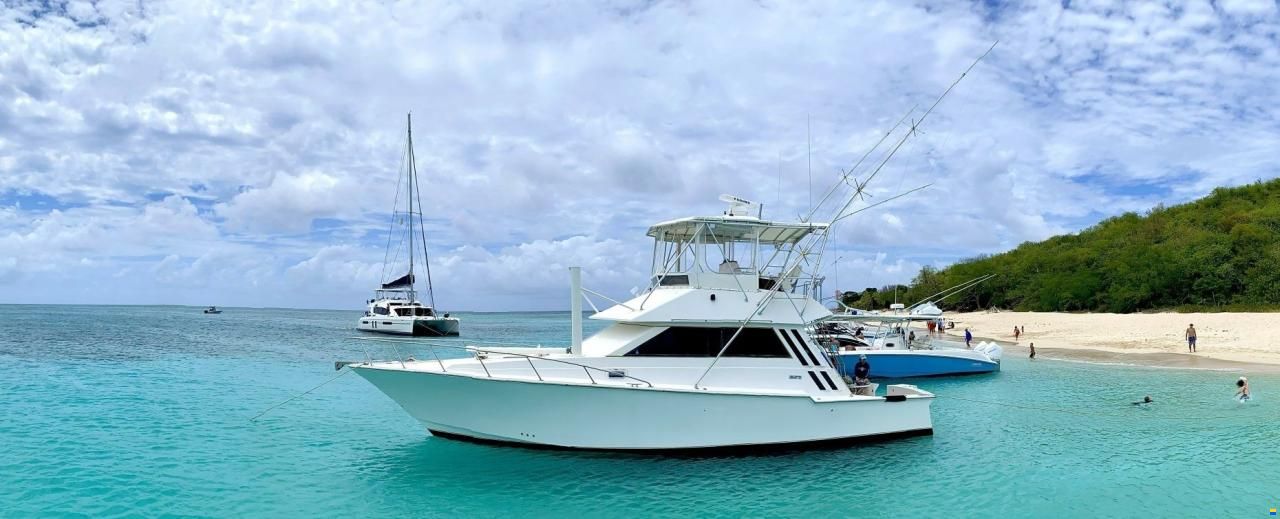 Southern Cross 44 Fish