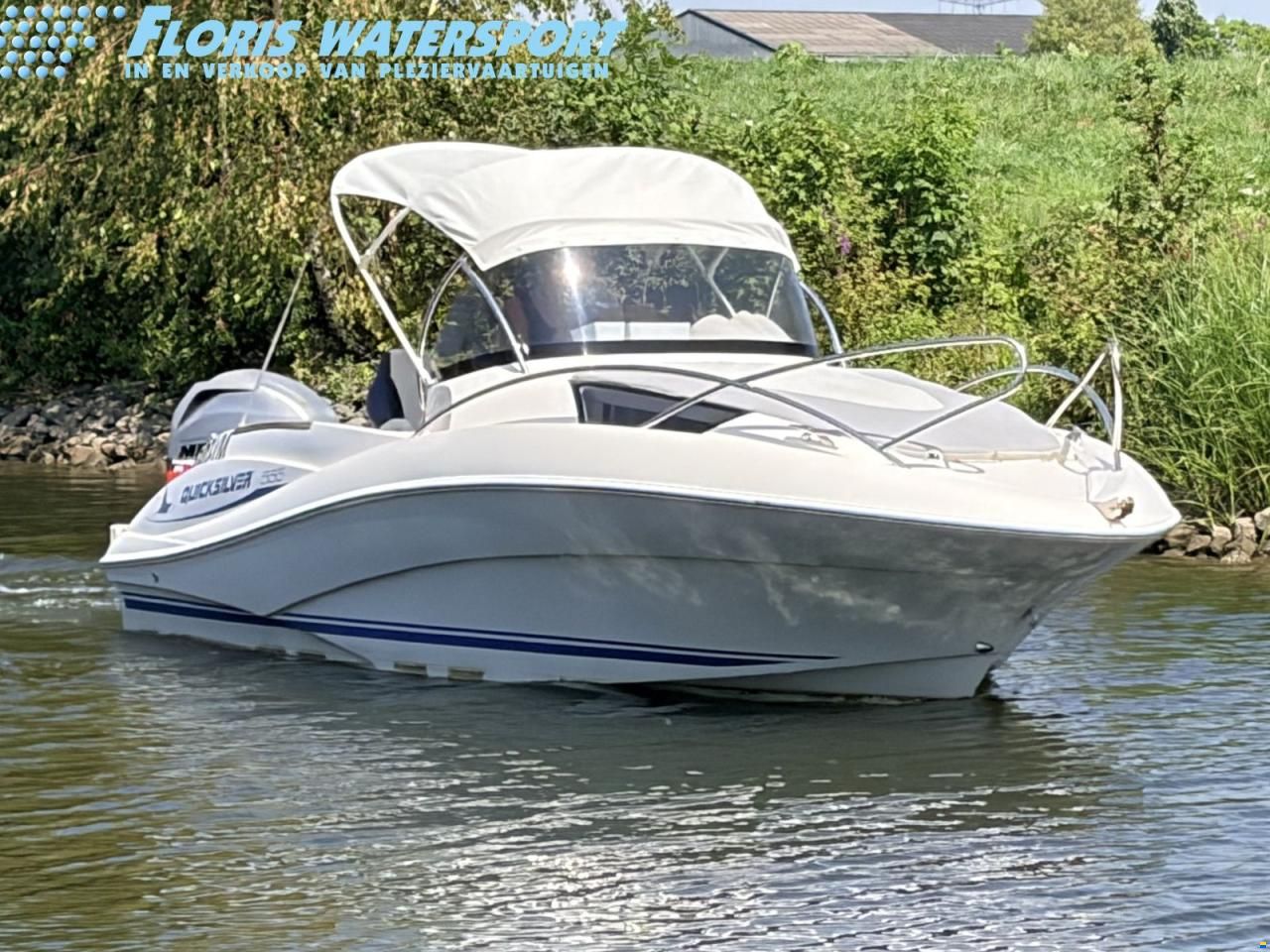 Quicksilver Activ 555