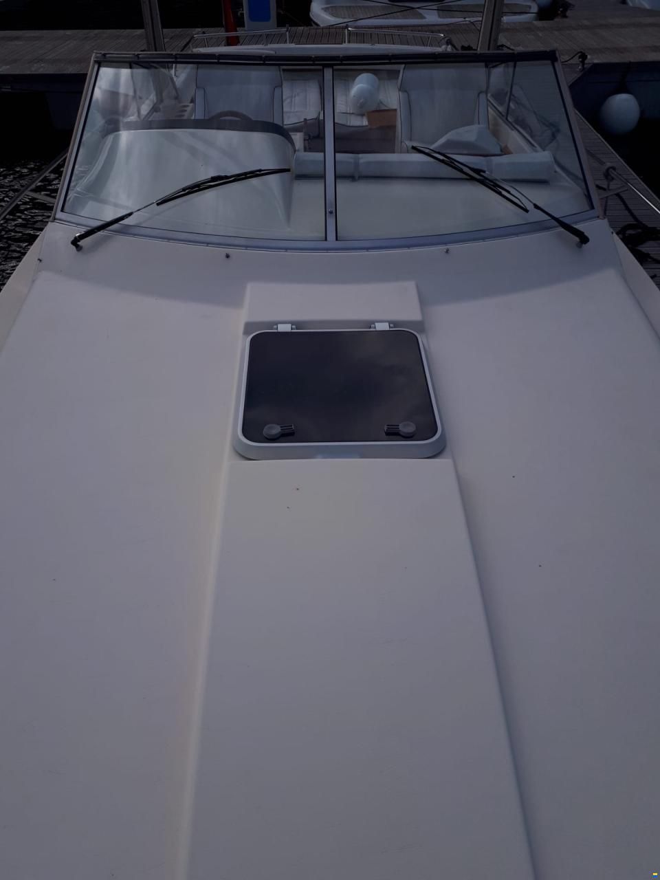 Windy 8800