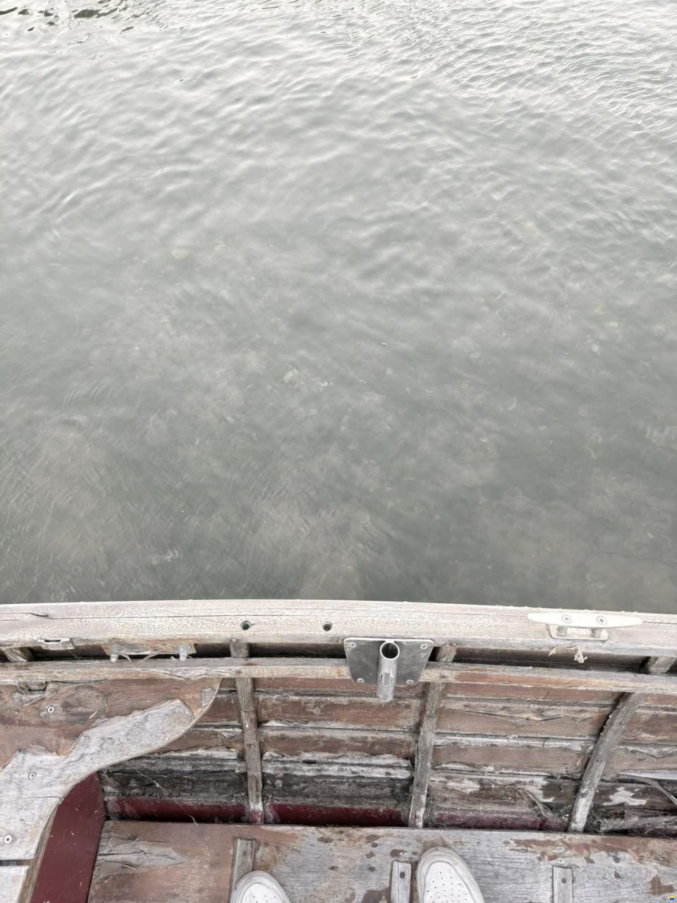 St&auml;hli vom Bodensee