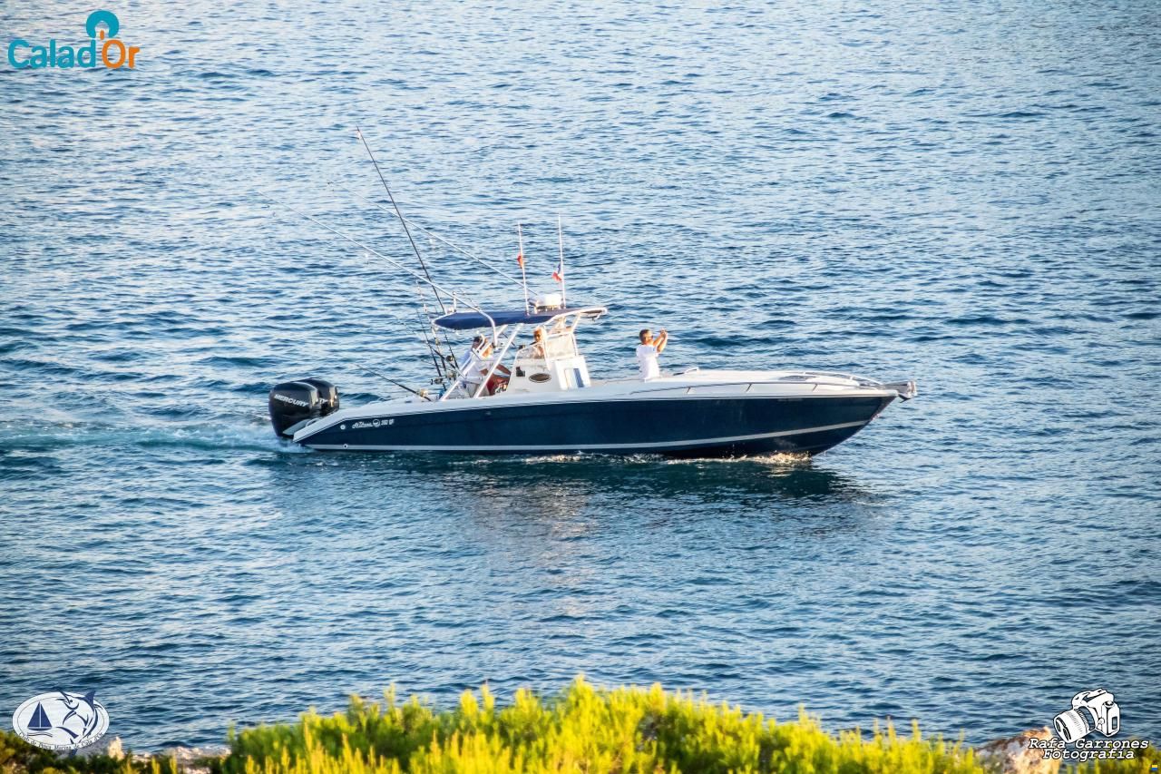 Aldhaen Craft 360 SF Cuddy