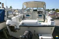 Campion 552 i SC Explorer