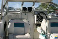 Campion 552 i SC Explorer