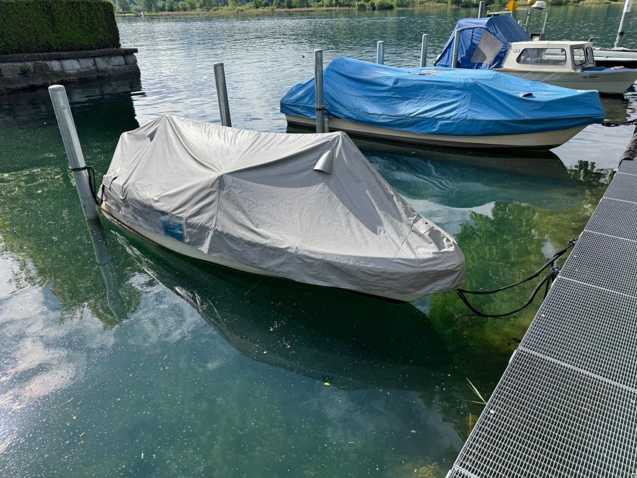 Nussbaumer Ostia