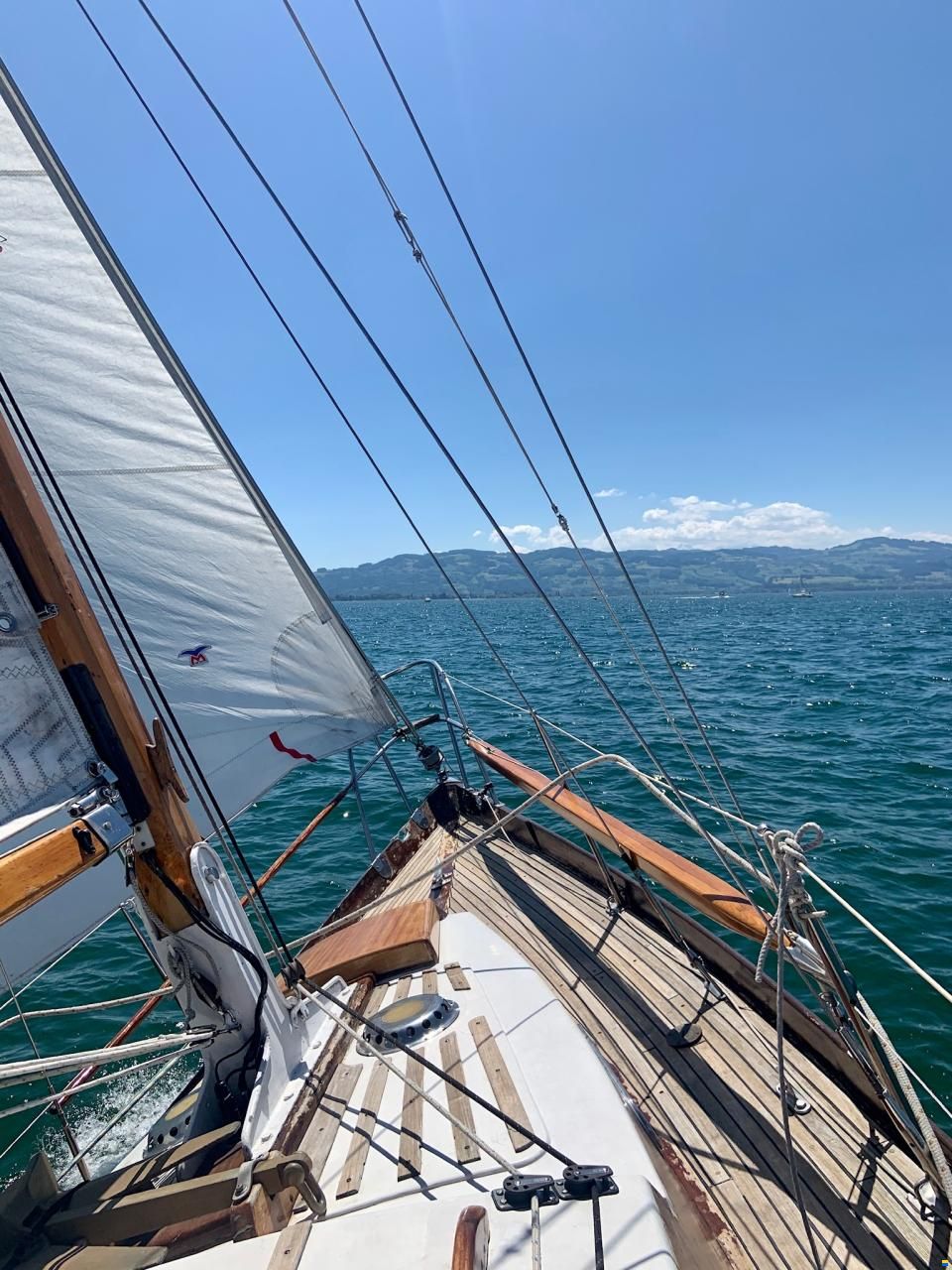 Anne Wever 29" Trintella 1