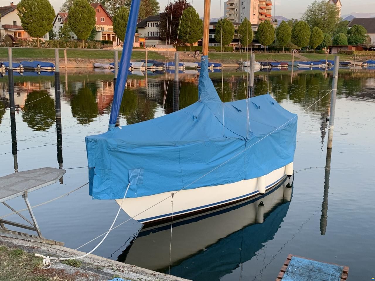 Anne Wever 29" Trintella 1