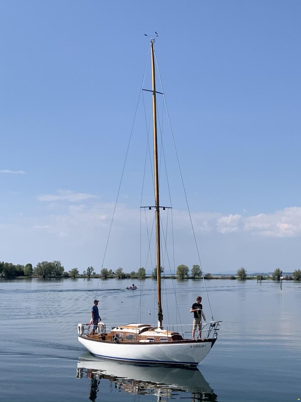 Anne Wever 29" Trintella 1