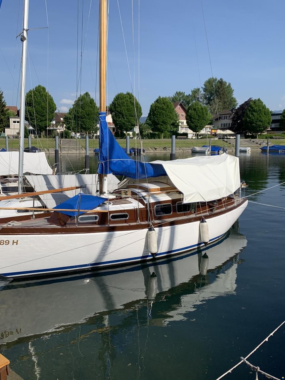 Anne Wever 29" Trintella 1