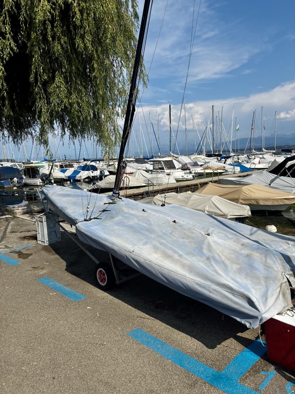 Ovington 49er
