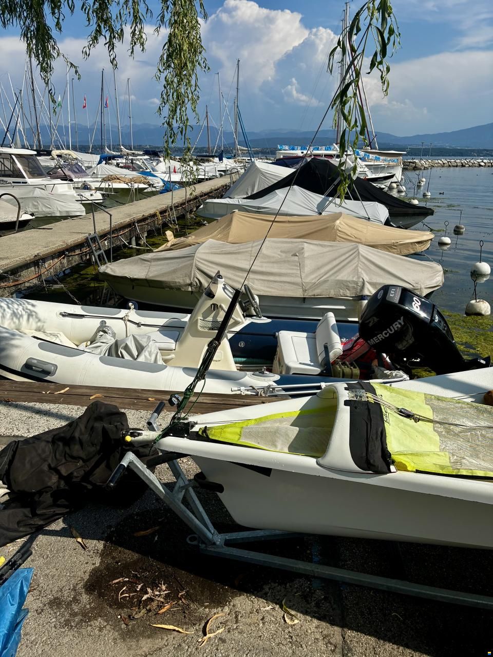 Ovington 49er