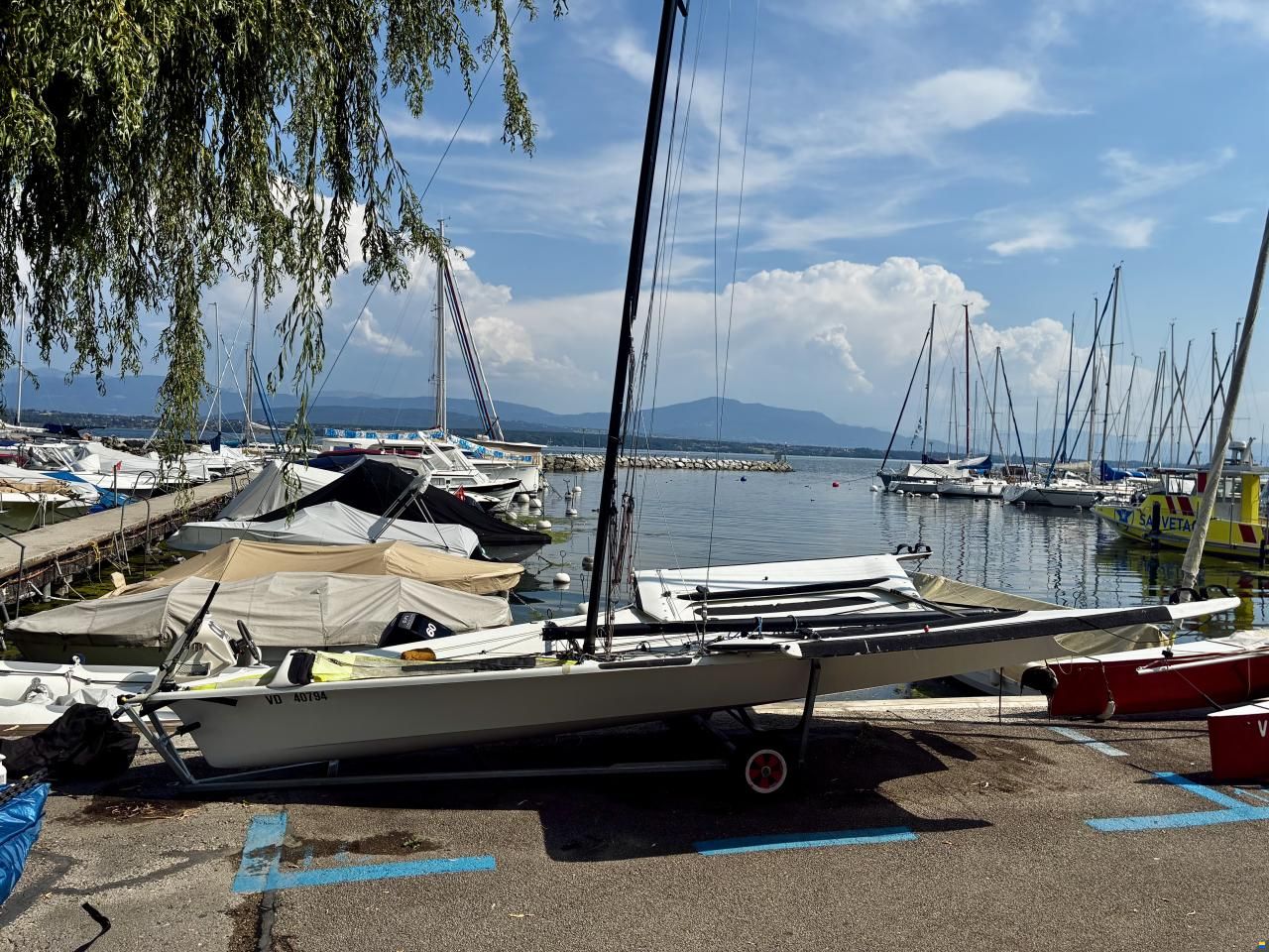 Ovington 49er