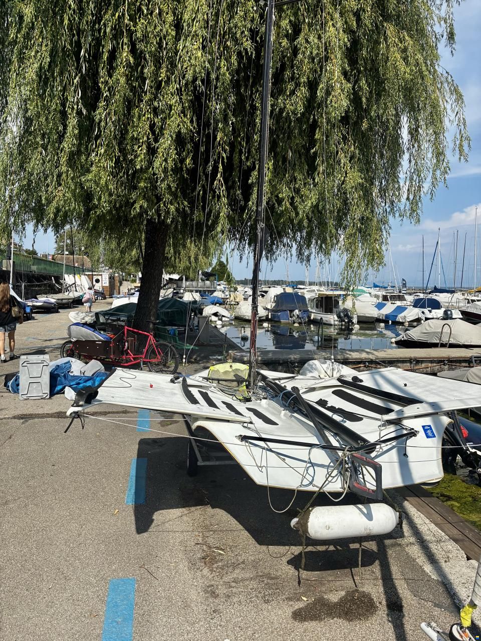 Ovington 49er