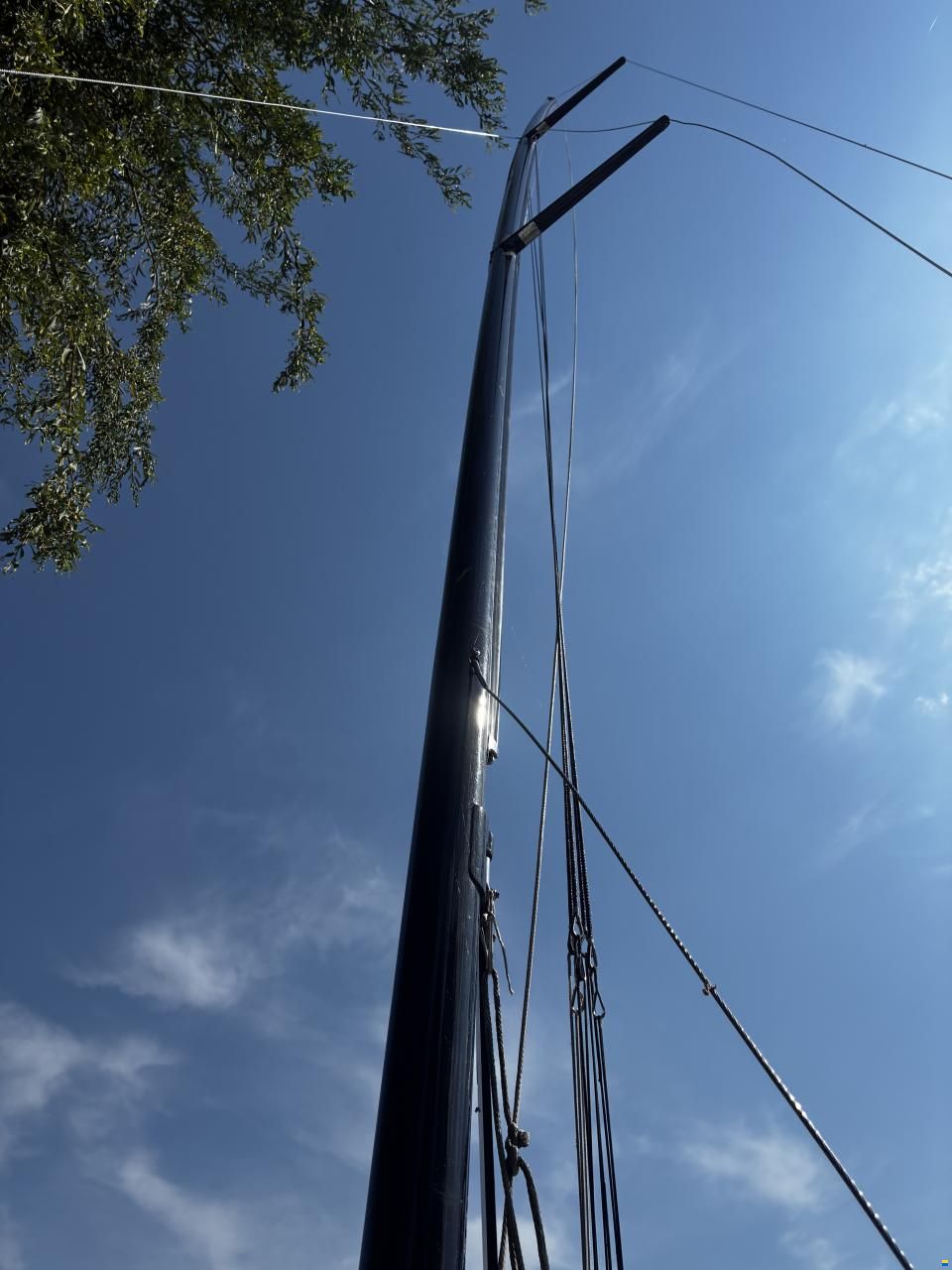 Ovington 49er