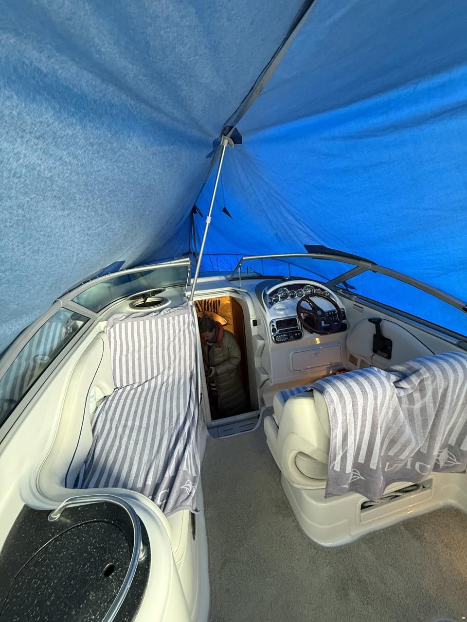 Crownline 250 CR