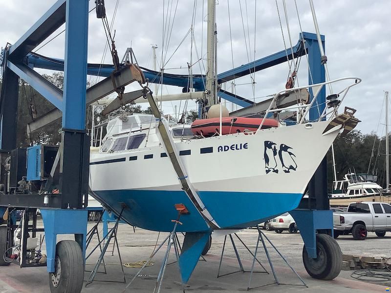 Meta Dalu 36