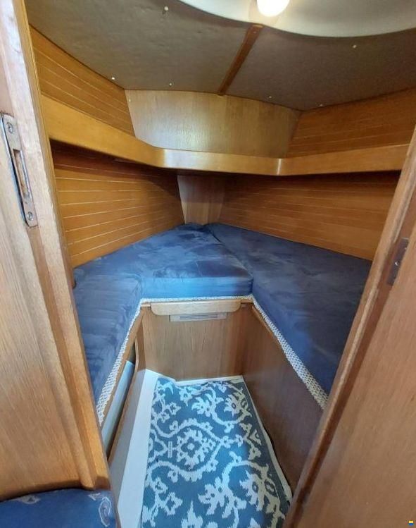 Skipper Arion 29